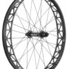 DT Swiss BR 2250 Classic 26" 12 X 190/197mm Fatbike Laufrad Hinten