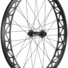 DT Swiss BR 2250 Classic 26" 15 X 150mm Fatbike Laufrad Vorne -MAXXIS Verkäufe dt swiss br 2250 classic rad vorne 1