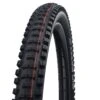 Schwalbe Big Betty Addix Soft Super Trail SnakeSkin Tubeless Easy E-50 29x2.60 Reifen