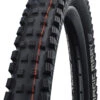Schwalbe Magic Mary Addix Soft Super Trail SnakeSkin Tubeless Easy E-50 29x2.40 Reifen